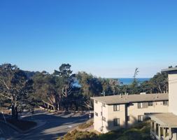 featured image of 1504 Pershing Drive #A