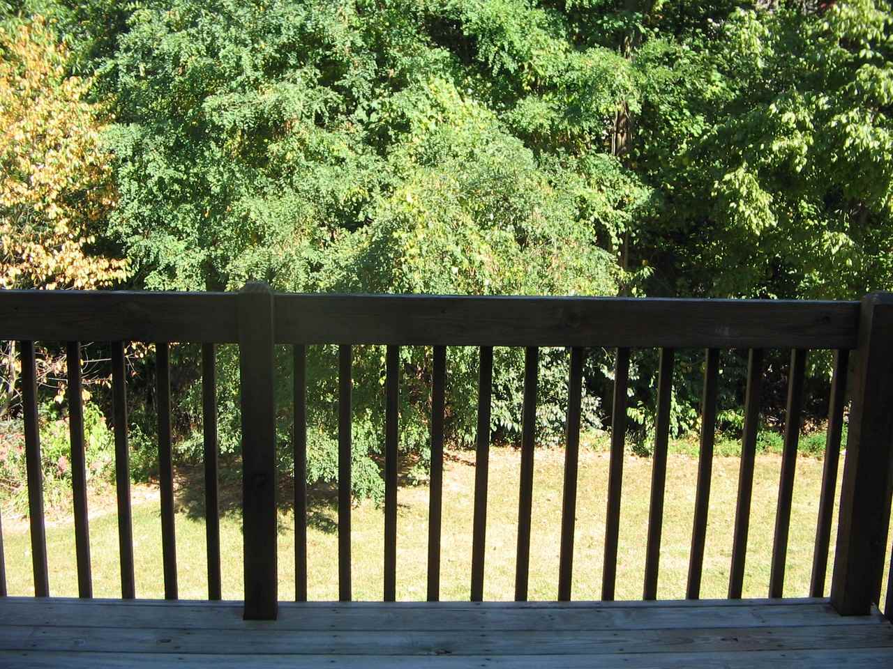 457 Indian Rock Cir - Photo 2 of 9