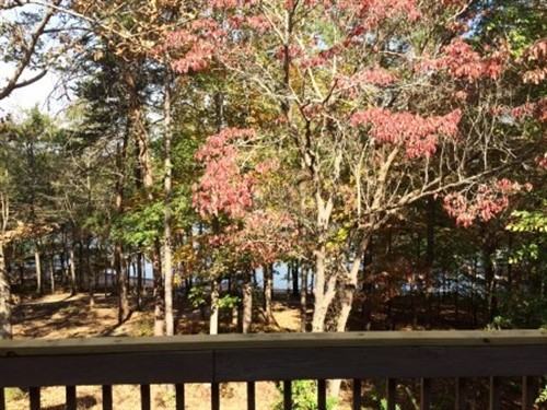 205 Knotty Pine Ct - Photo 3 of 18