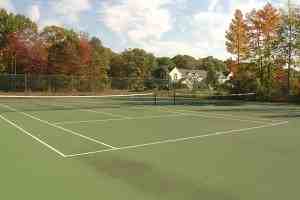 Colony Oaks - Photo 3 of 11