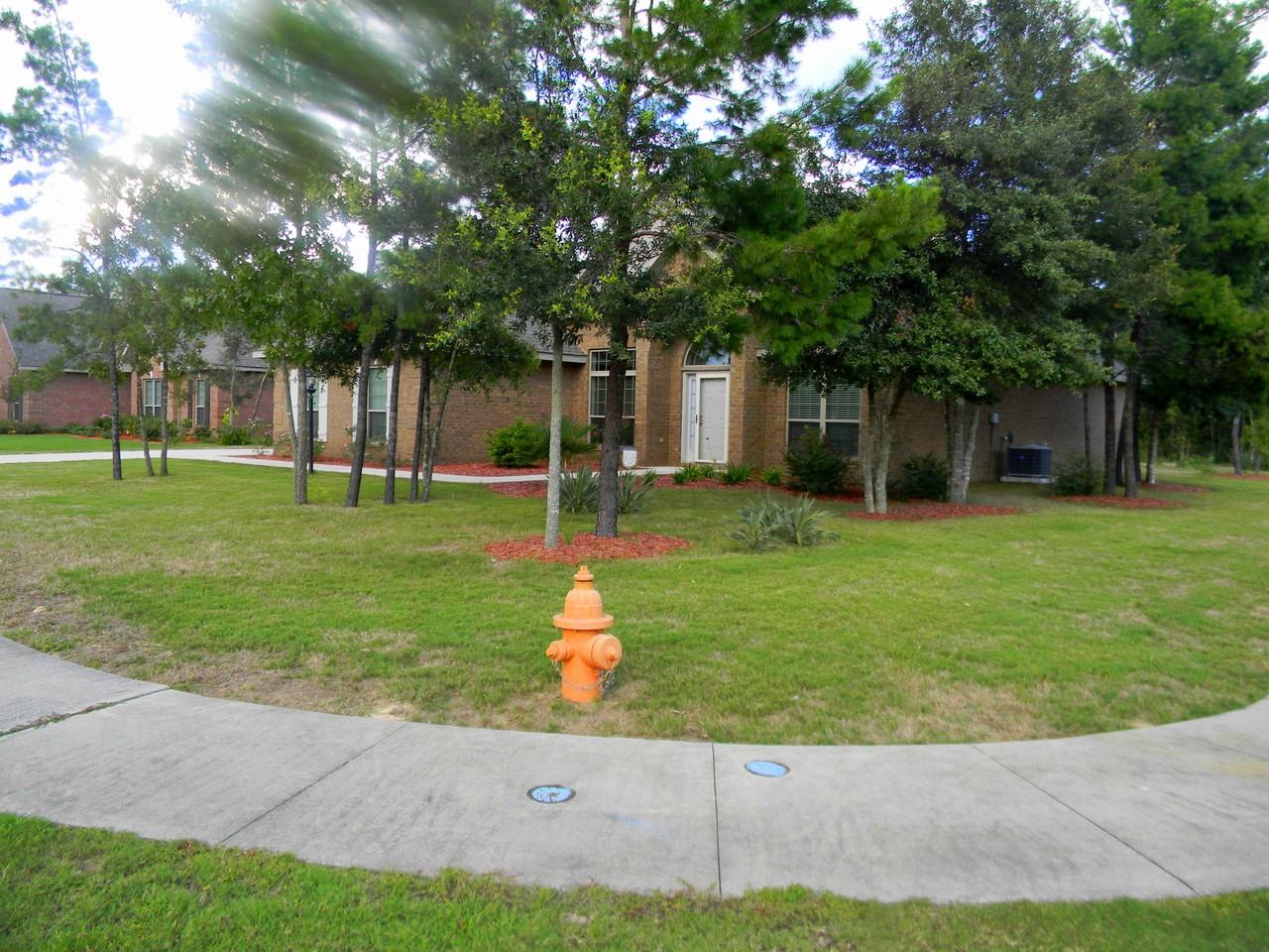 12800 Merial Pass - Photo 2 of 17