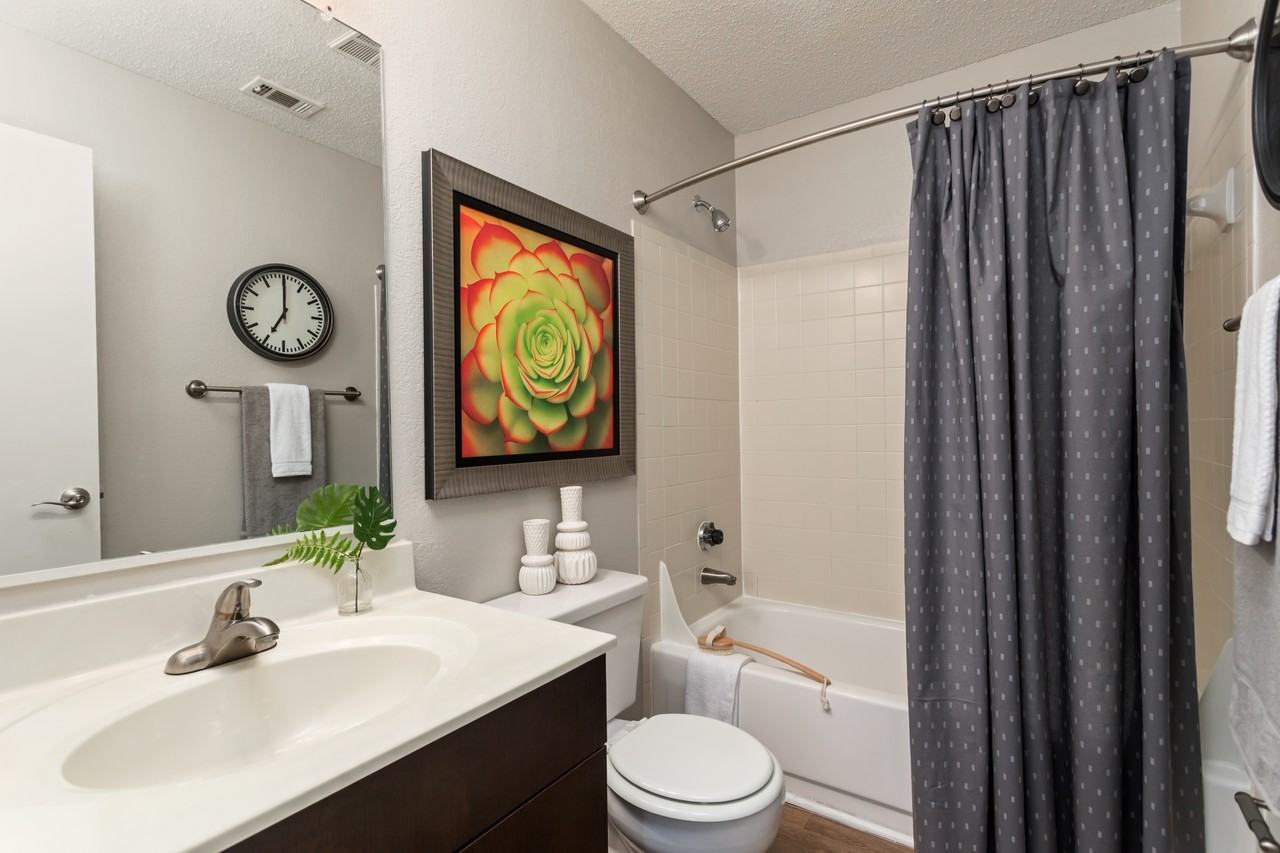 University Ridge Apartments - Photo 5 of 36