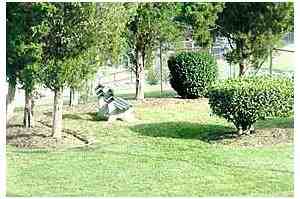 Wildwood Towers - Photo 3 of 19