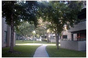 Monterey Village - Photo 3 of 16