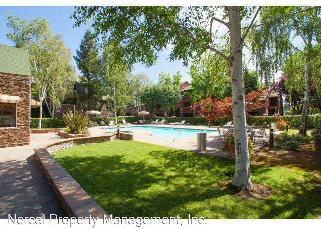 808 Catkin Ct - Photo 3 of 20