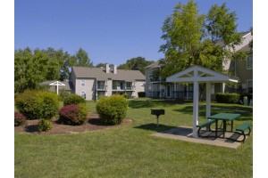 Madison Falls Run - Photo 3 of 32