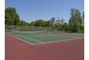 Madison Falls Run - Photo 2 of 32