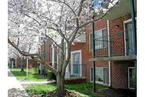 Tuscarora Creek - Photo 2 of 11