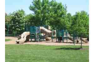 Madison at Hunt Club - Photo 3 of 21