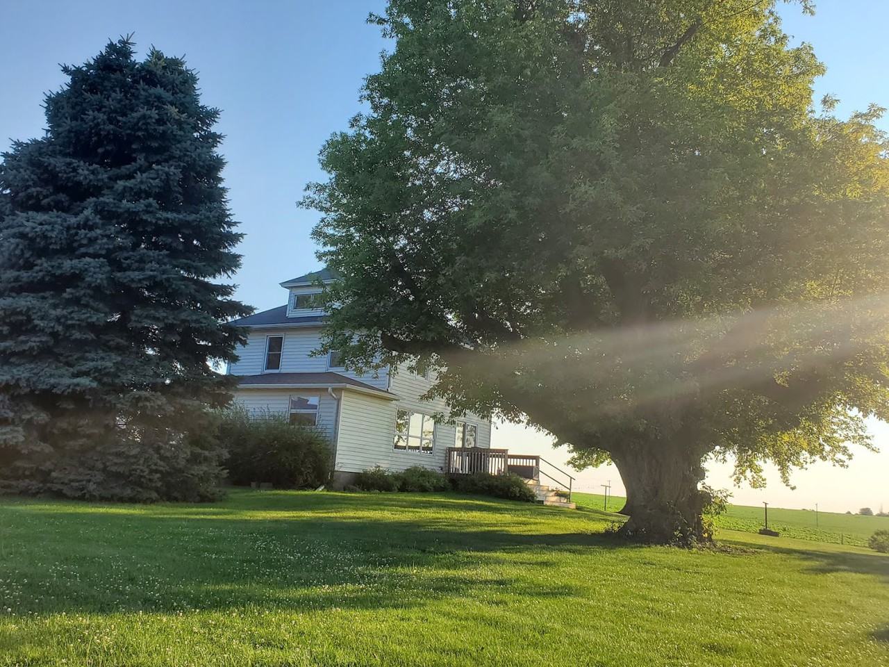 1315 County Road B - Photo 3 of 23