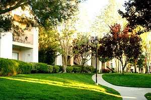 Mountain Vista Apts. - Photo 2 of 9