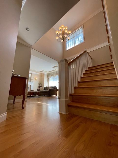 Pauleshin Crescent & Evancio Crescent - Photo 6 of 18