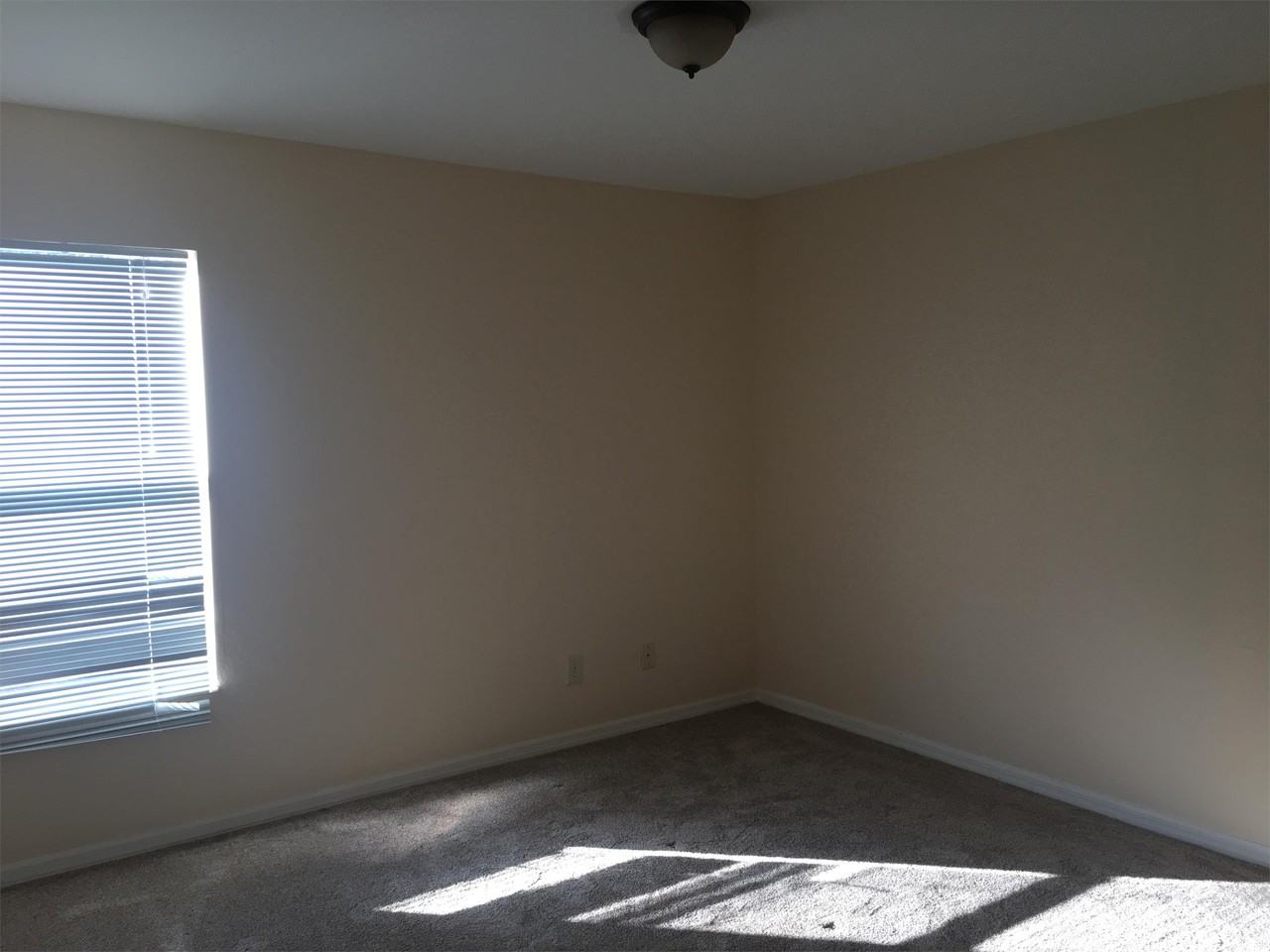 8294 Silver Birch Way #1 - Photo 3 of 16