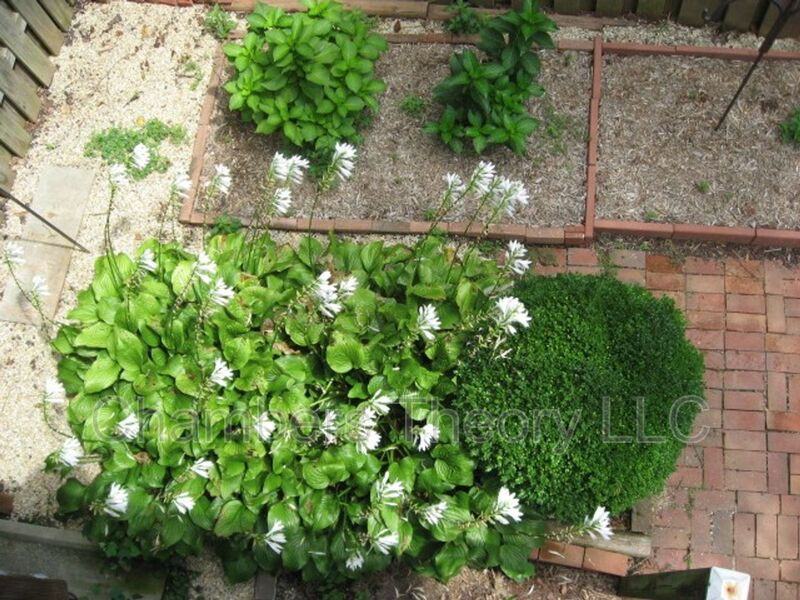 3801 Grand Junction Ct - Photo 5 of 50