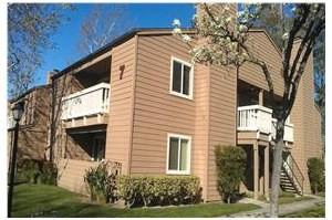 Sycamore Terrace - Photo 2 of 6