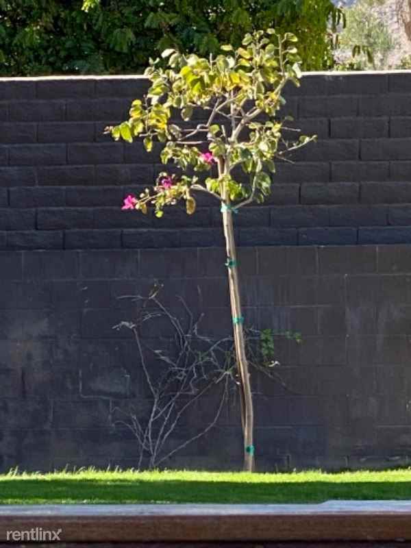 373 W Via Sol - Photo 2 of 40