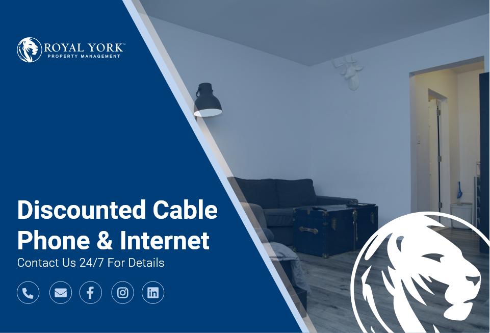 382 Dovercourt Rd #31