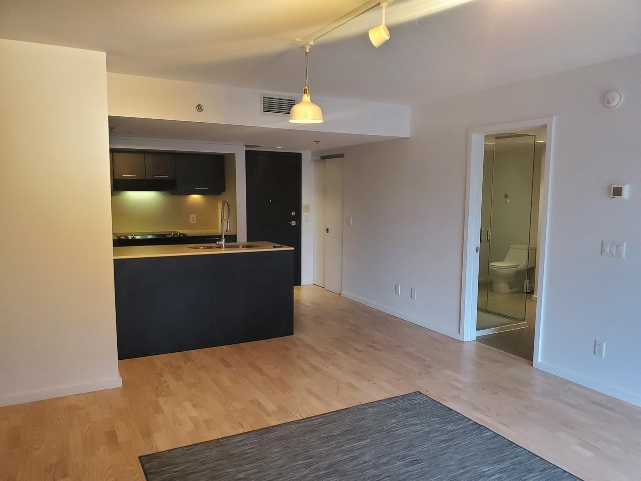 350 Boul De Maisonneuve O #1 - Photo 4 of 19