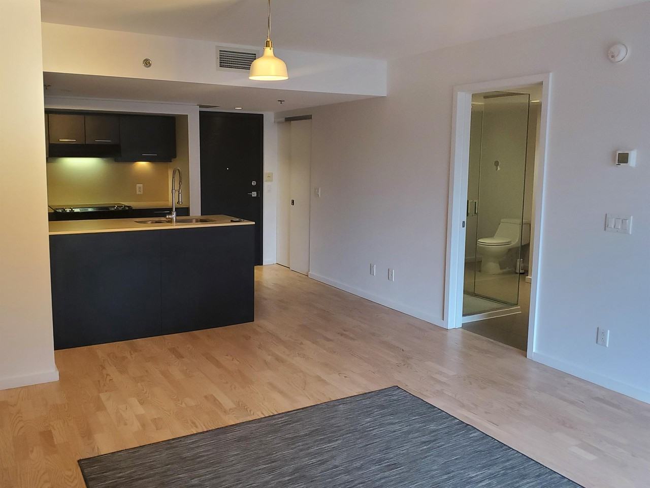 350 Boul De Maisonneuve O #1 - Photo 6 of 19