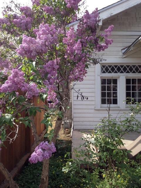 748 E Dudley Ave #1 - Photo 3 of 18