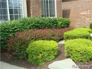 1796 Pine Forest Dr - Photo 3 of 22
