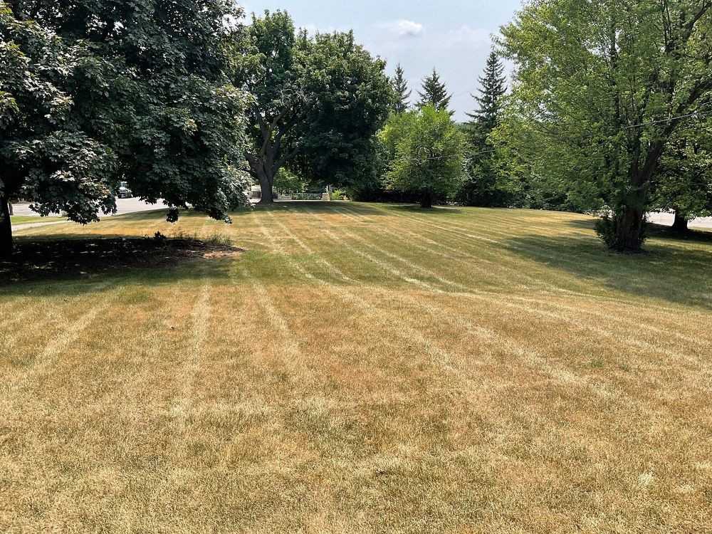 4100 Golden Valley Rd - Photo 3 of 22