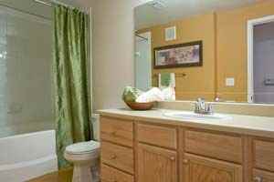 The Preserve at Travis Creek - Photo 2 of 17