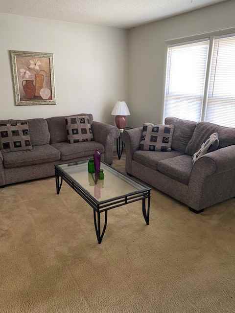 369 Crabapple Circle #99