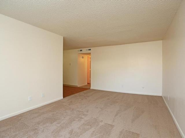 1300 Milky Way - Photo 6 of 50