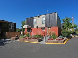 featured image of 1300 Milky Way