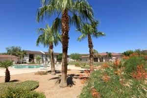 Desert Gardens Apartment Community - Photo 2 of 11