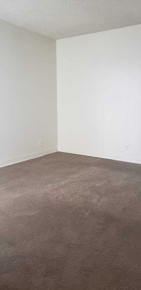 301 Orland St - 23 #23 - Photo 3 of 31