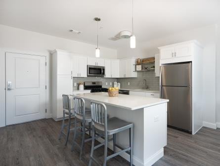 Amelia - Photo 3 of 20