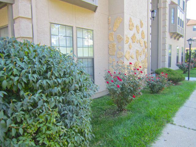 5417 Nw 85th St - Photo 3 of 25