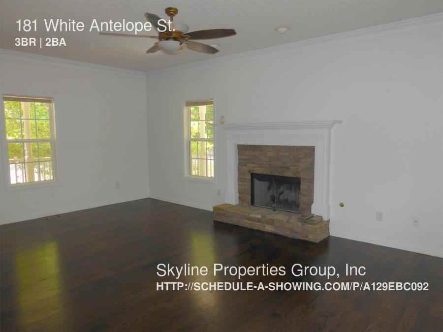 181 White Antelope St - Photo 3 of 29