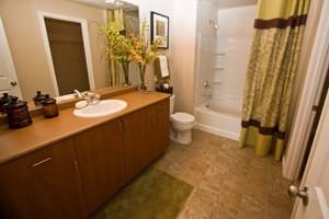 The Millington at Merrill Creek - Photo 2 of 13