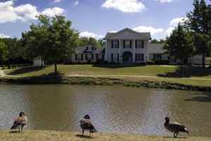 Southfork - Photo 3 of 4