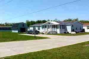 White Oak - Photo 3 of 9