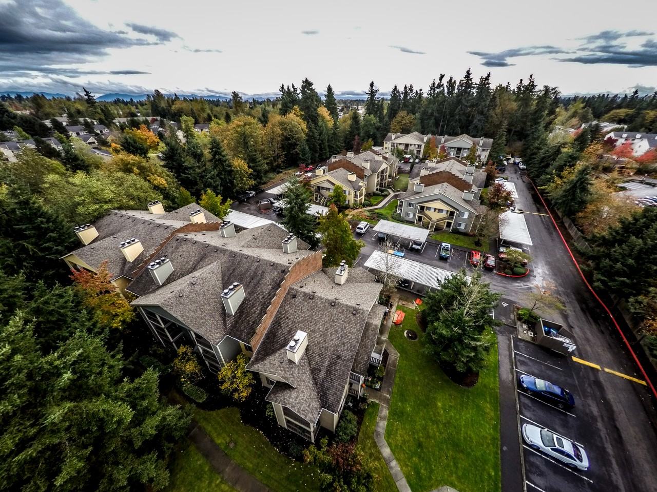 24802 99th Pl S - Photo 2 of 18