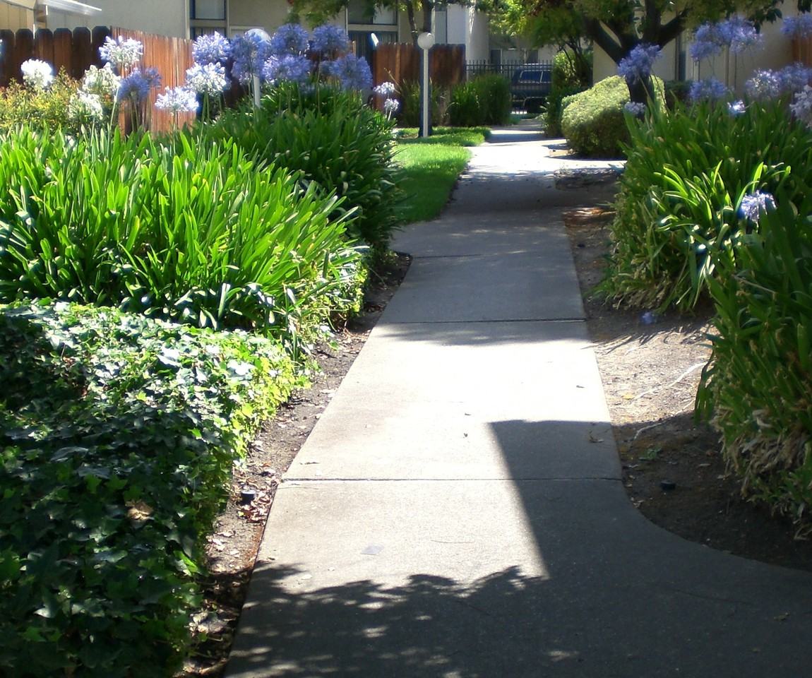 Willow Tree Apartments - Photo 2 of 2