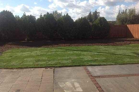 9854 Grace St - Photo 3 of 21