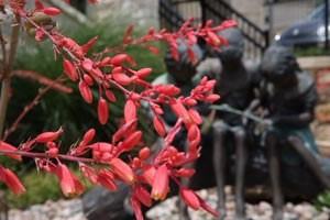 Spicewood Crossing - Photo 3 of 14