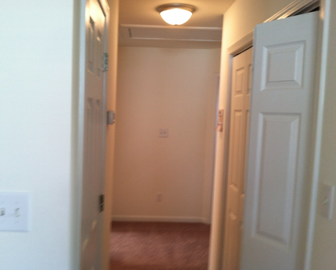 1300 Level Creek Ln - Photo 2 of 13