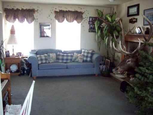 1065 E 425 N - Photo 3 of 15