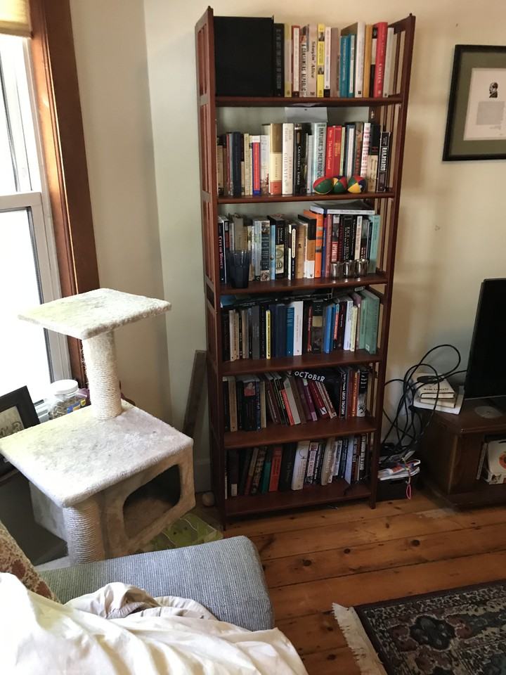 181 Tremont Street #2 - Photo 6 of 15