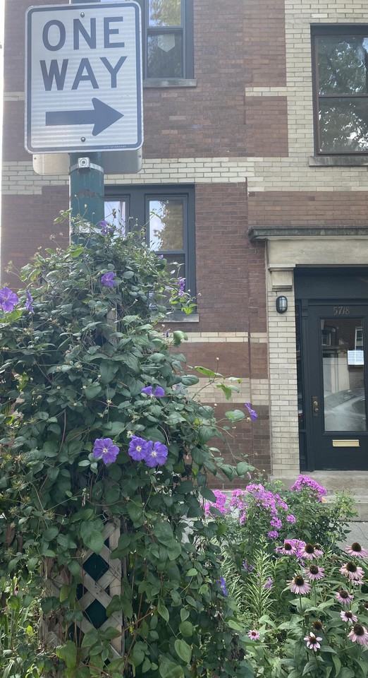 5711 North Glenwood Avenue - G North #5711G - Photo 2 of 9