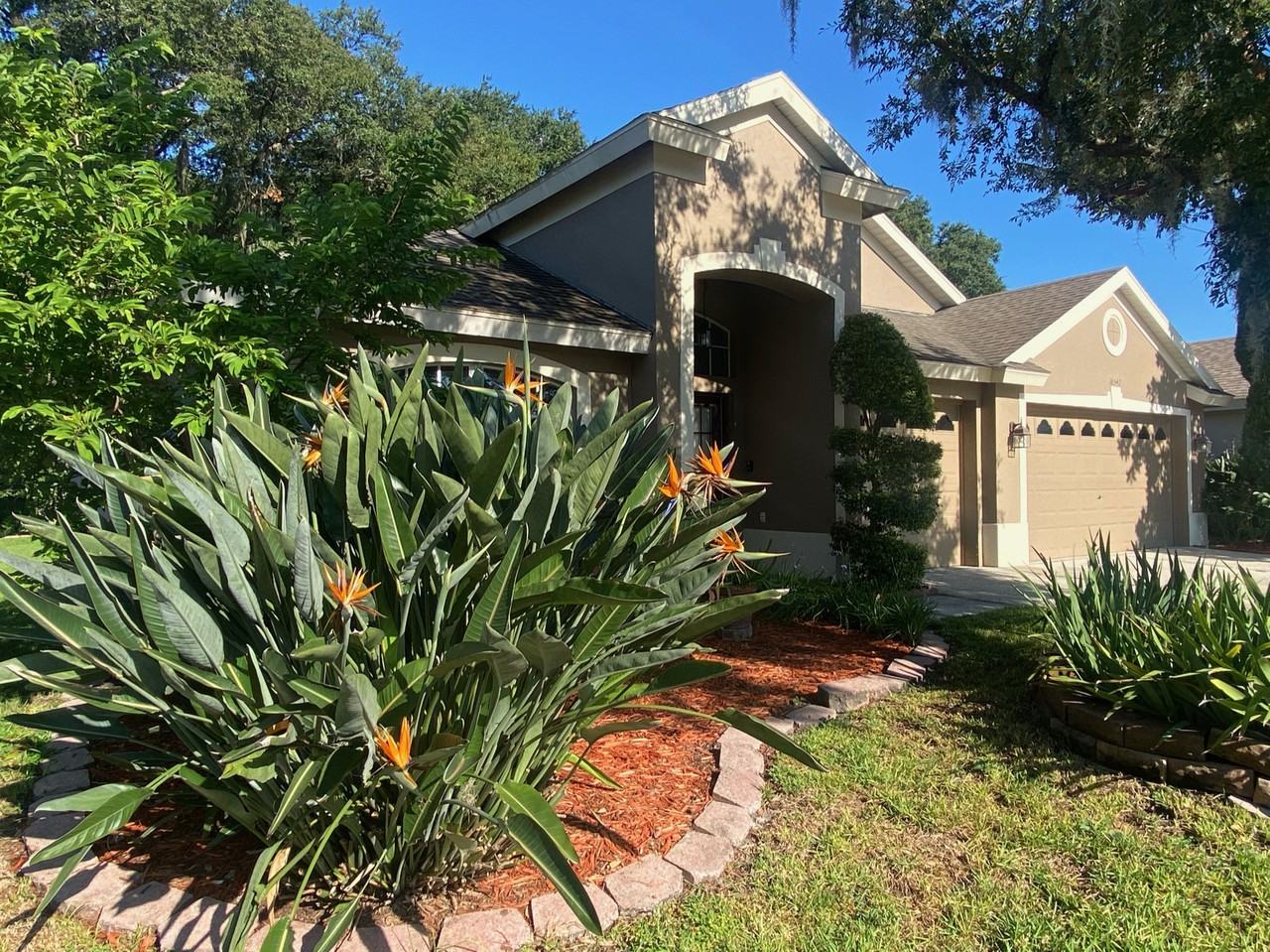 10542 San Travaso Dr - Photo 2 of 27