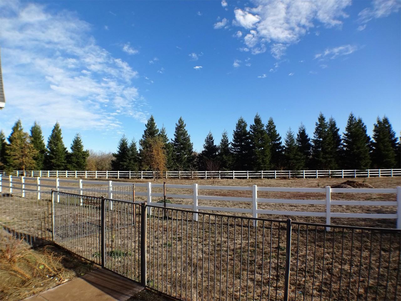 3539 Rodgers Ave #1 - Photo 4 of 18