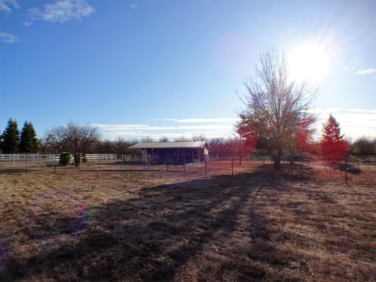 3539 Rodgers Ave #1 - Photo 5 of 18