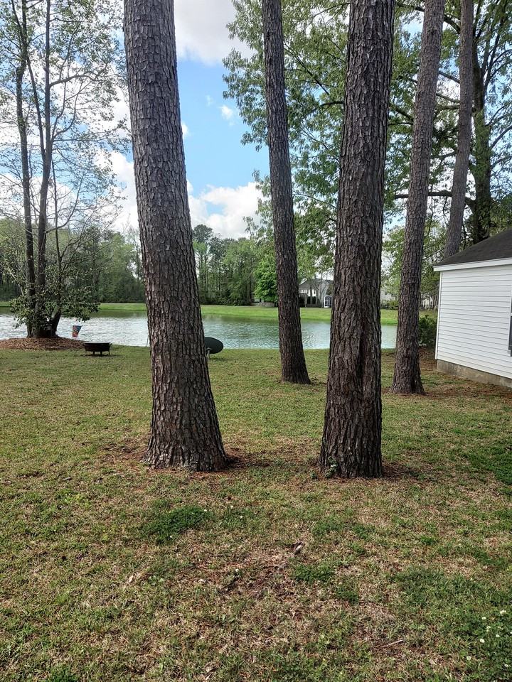 8977 N Red Maple Cir #1 - Photo 2 of 30